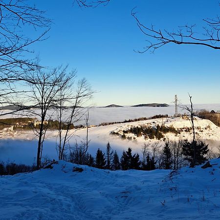 Great Apartment Winterberg Woods Медебах Екстериор снимка